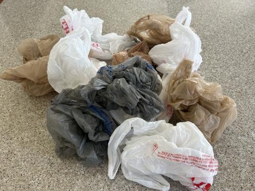 Grocery bags.jpg