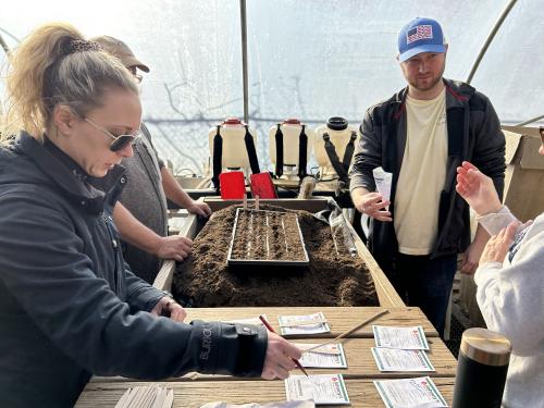 Planting seeds 2.jpg