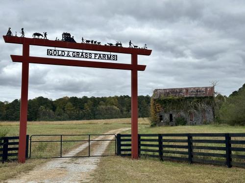 Farm Day (3).jpg