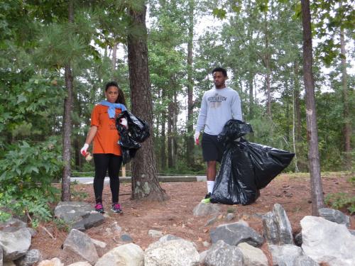 shoresweep5.jpg