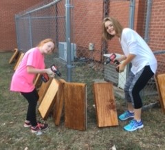 CMS Bat Box Project.jpg