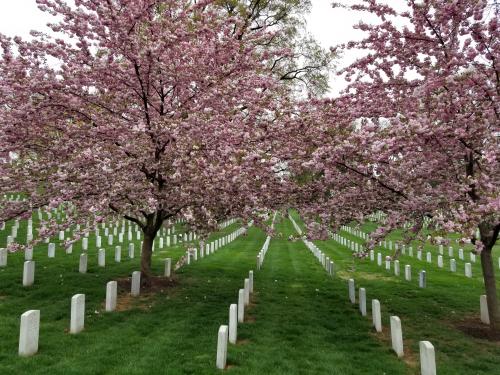Arlington- 20180424_164349.jpg